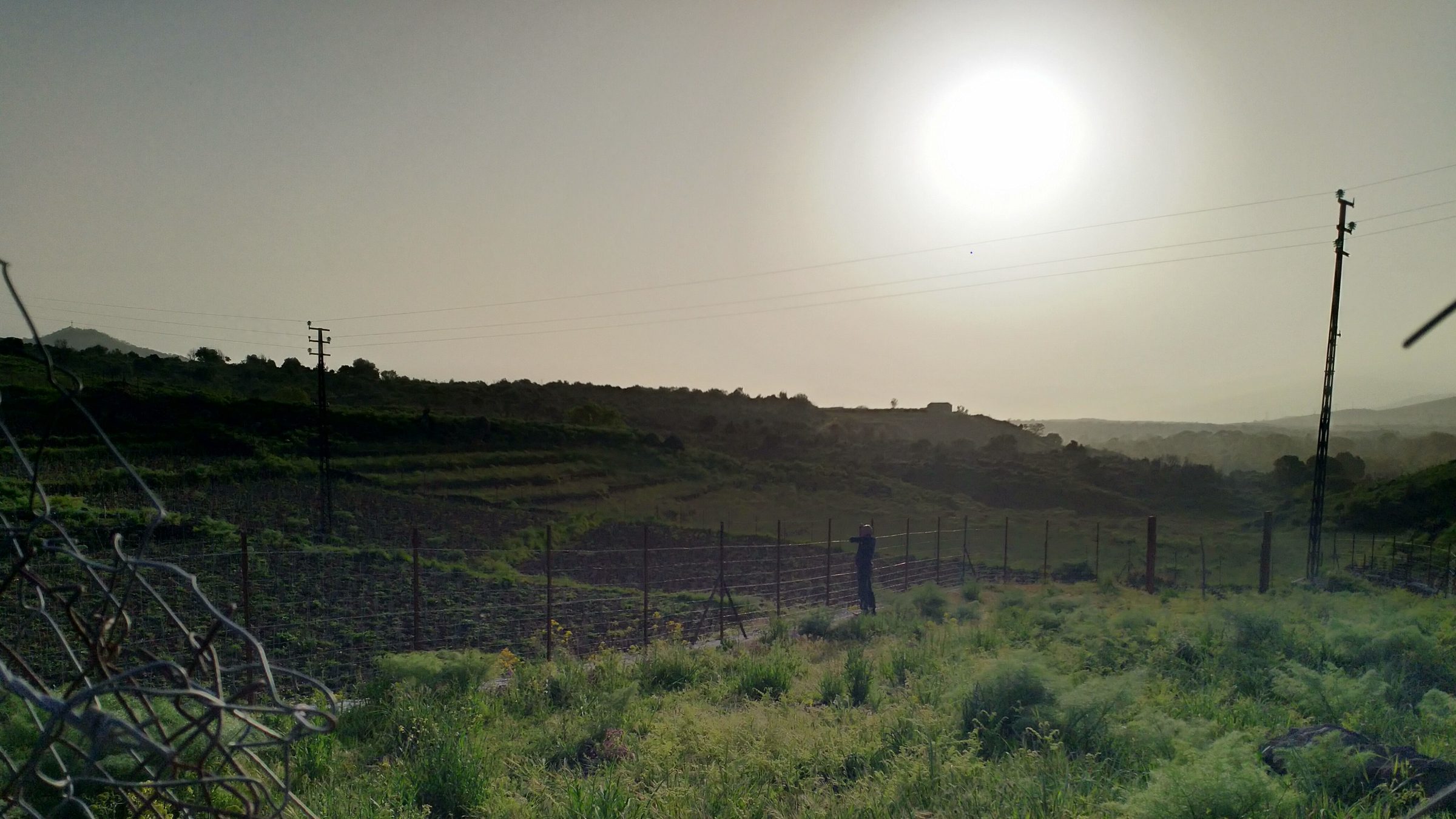 Le terrazze della vigna controluce, sul versante nord-est dell'Etna